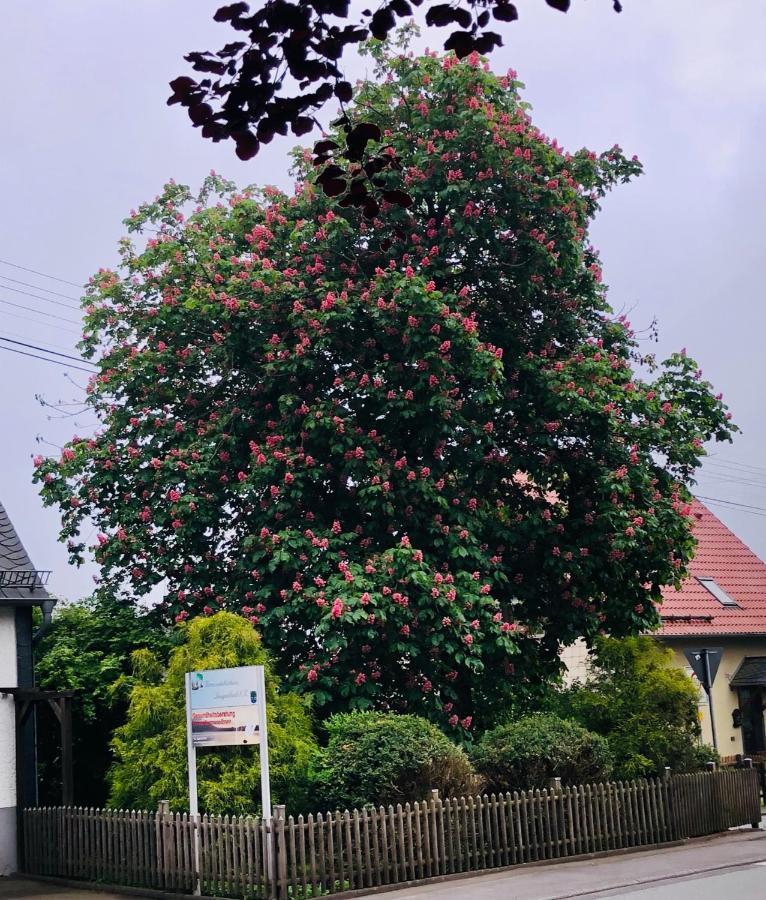 דירות Langenbach bei Kirburg Gemuetliche Fewo Naehe Hachenburg, Bad Marienberg מראה חיצוני תמונה